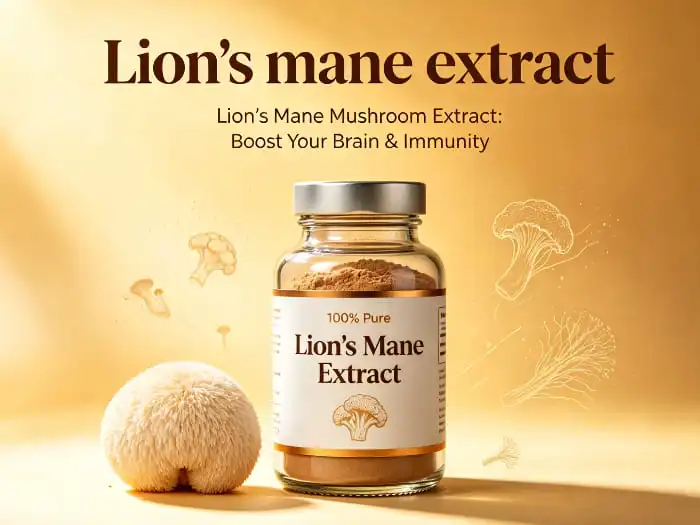 Lion's Mane Extracts: Beginner's Guide & Benefits